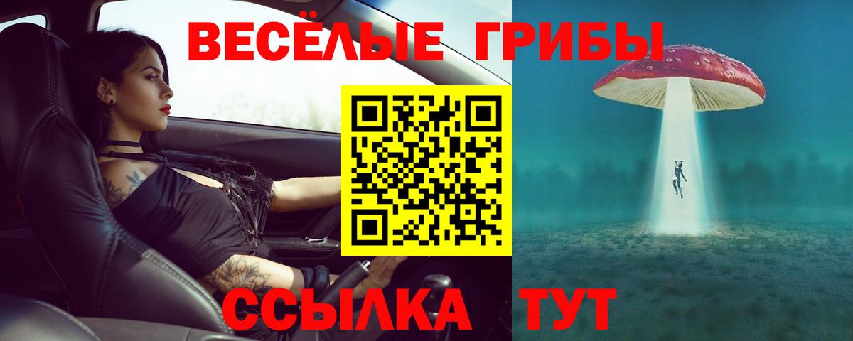 Галлюциногенные грибы прущие грибы  Вход с VPN  Красноуфимск  Галлюциногенные грибы GOLDEN TEACHER 
